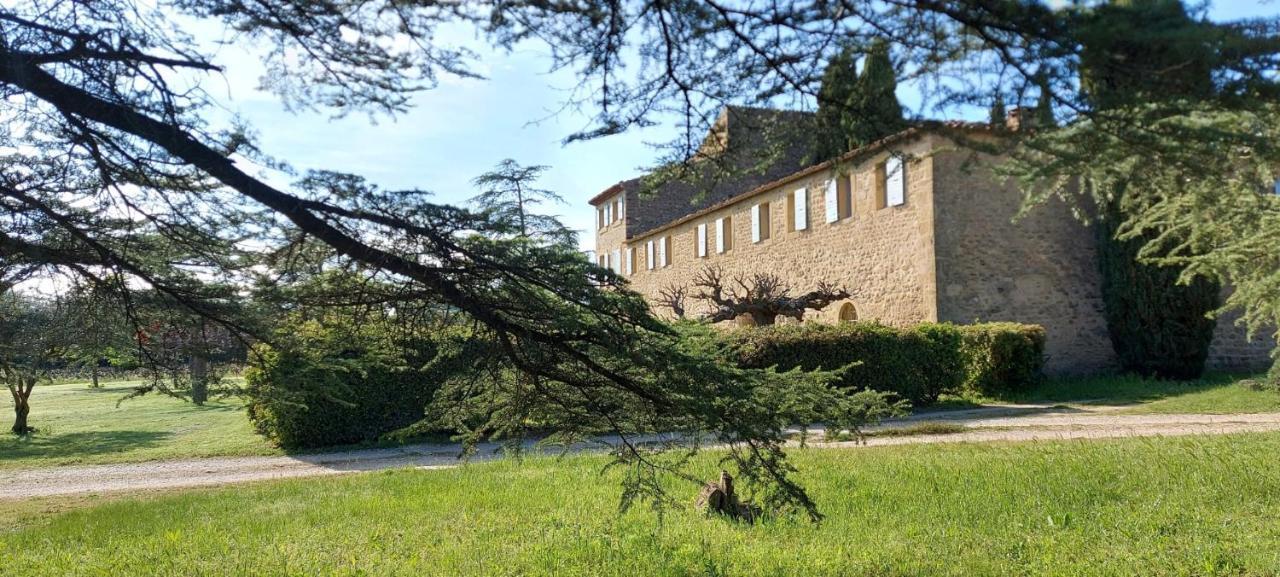 Chateau Saint-Pierre De Mejans Puyvert Esterno foto