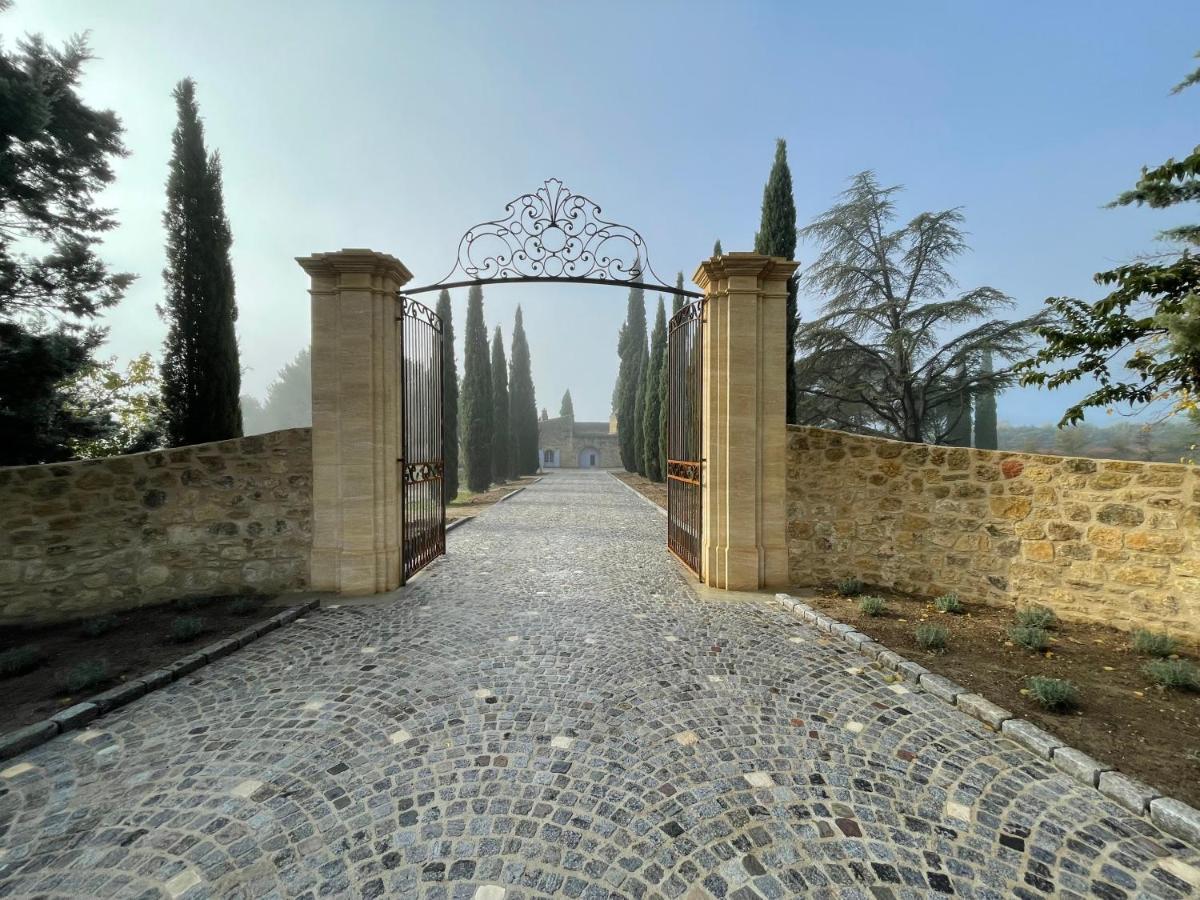 Chateau Saint-Pierre De Mejans Puyvert Esterno foto